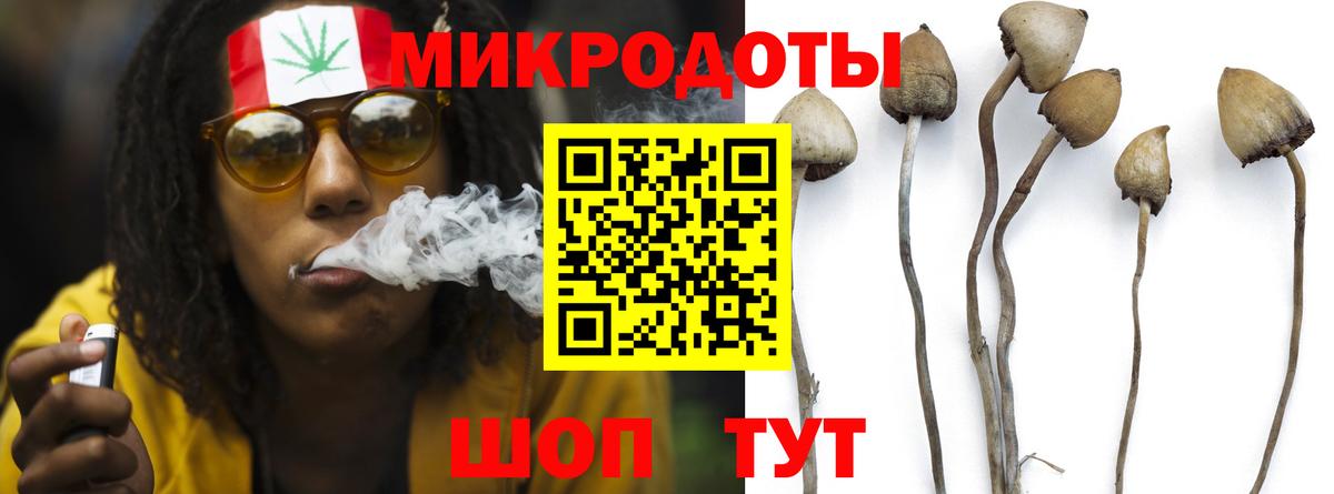 Новодвинск  Псилоцибиновые грибы мицелий  Вход с VPN  Галлюциногенные грибы мицелий 